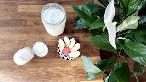 Receta natural Yogurt Casero