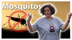 Mosquitos la guía definitiva